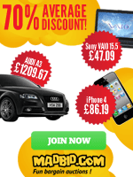 MadBids.com