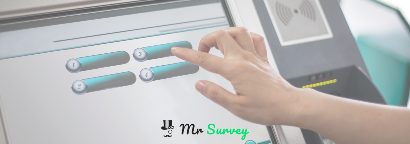 Mr.Survey - 