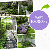 Logo [MOB+WEB] NectarContests - Garden Renovation $1000 SOI /SE