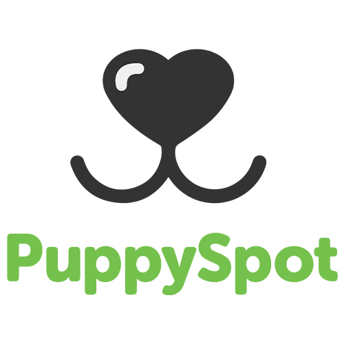 Klik hier voor de korting bij PuppySpot