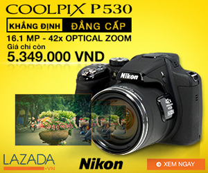 Nikon Coolpix 16.1MP Model P530