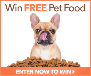 Pets & Animals at Totally Free Stuff