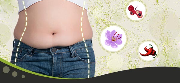 Lagerräumungsverkauf: nur jetzt: -75%