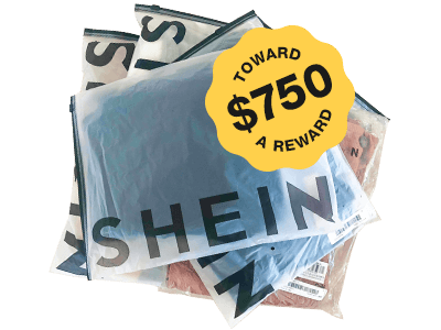 Shein $750 Product Reviewer